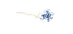 Shellfish Immune Mechanism